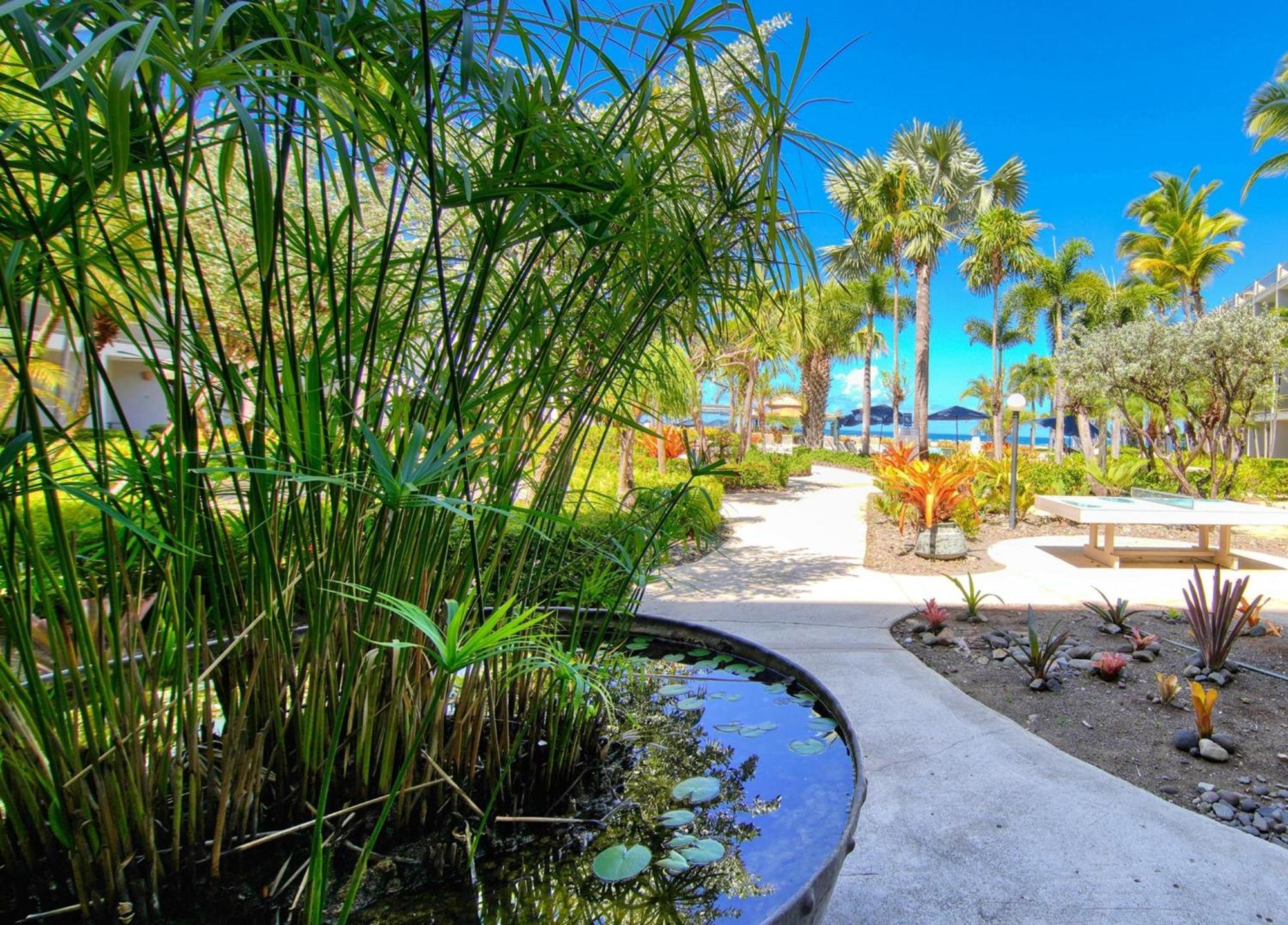 Rincon Of The Seas Grand Caribbean Hotel エクステリア 写真